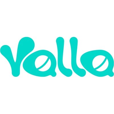 Yalla Group: Building a Digital Social World Around MENA Culture